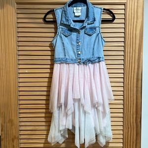 Denim/Pink Tulle Dress